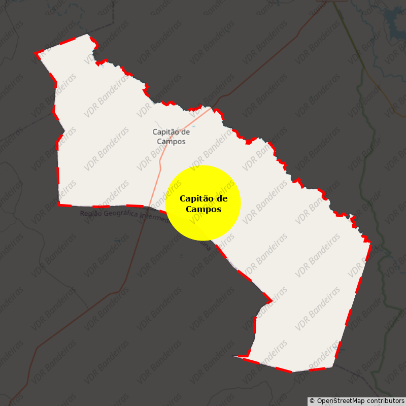 Imagem da Bandeira Capitão de Campos