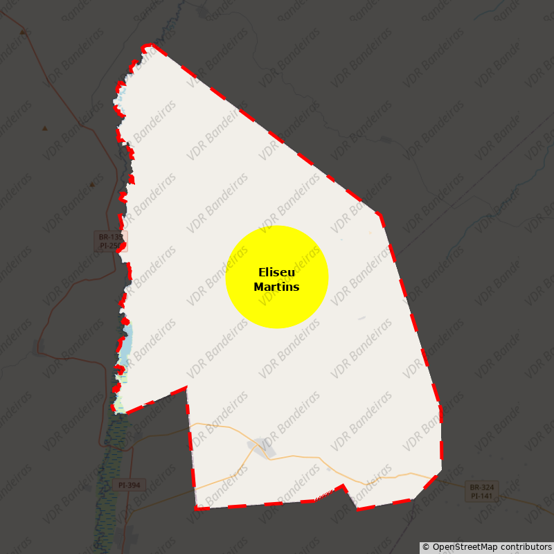 Imagem da Bandeira Eliseu Martins