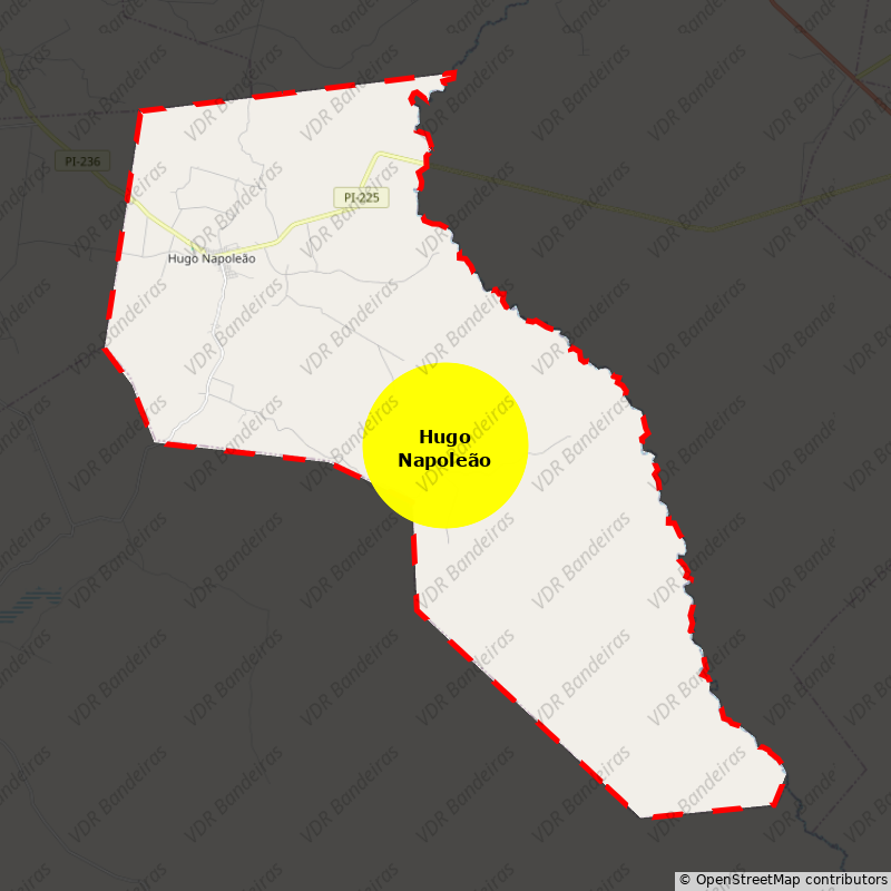 Imagem da Bandeira Hugo Napoleão