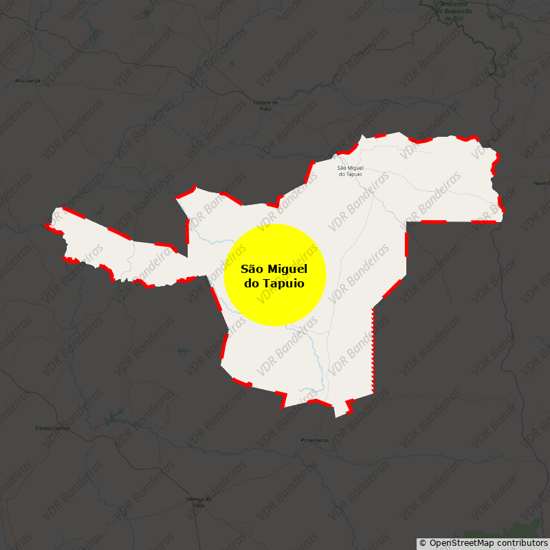 Imagem da Bandeira São Miguel do Tapuio