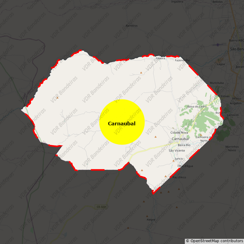 Imagem da Bandeira Carnaubal
