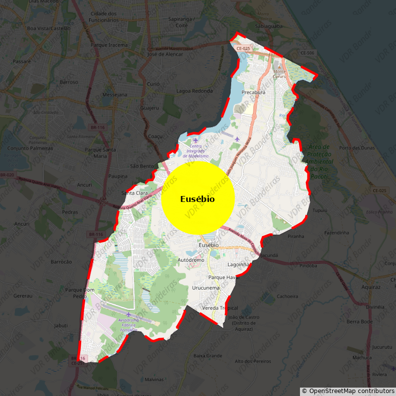 Imagem da Bandeira Eusébio