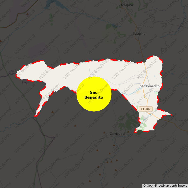 Imagem da Bandeira São Benedito