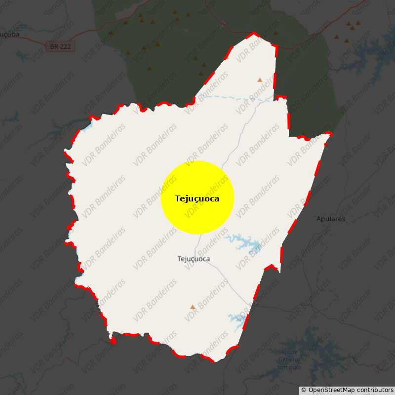 Imagem da Bandeira Tejuçuoca