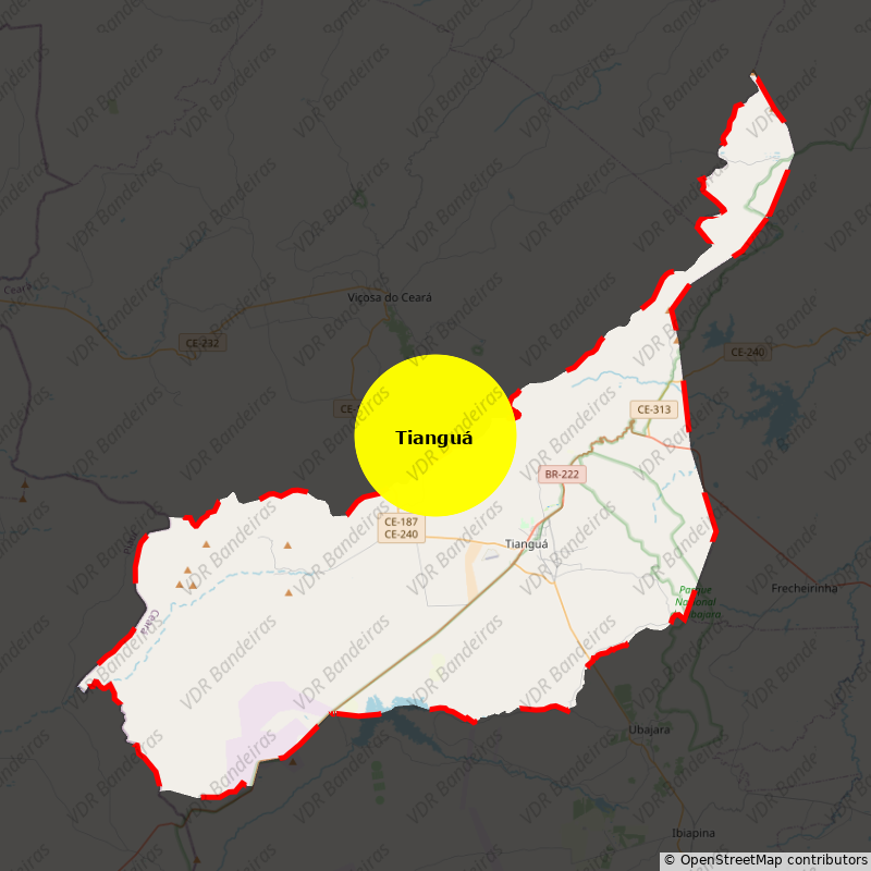 Imagem da Bandeira Tianguá