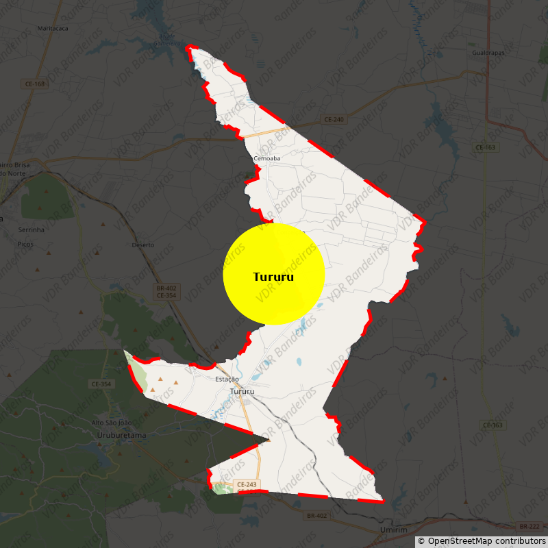 Imagem da Bandeira Tururu