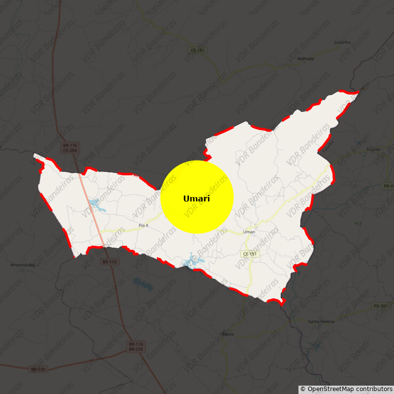 Imagem da Bandeira Umari