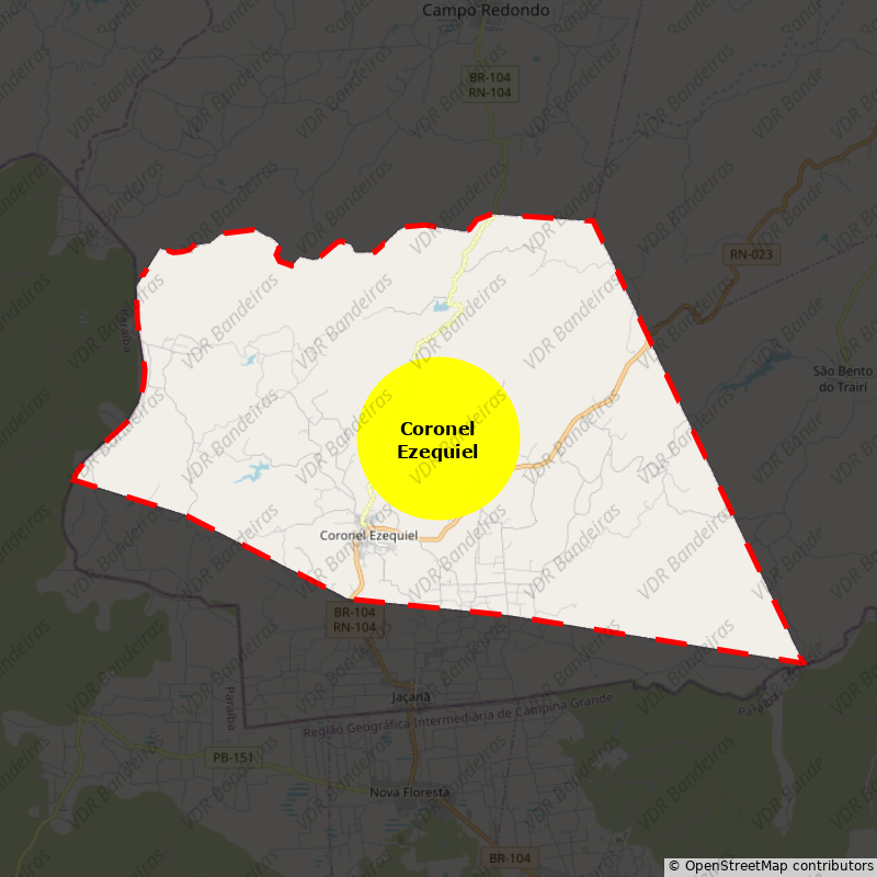 Imagem da Bandeira Coronel Ezequiel