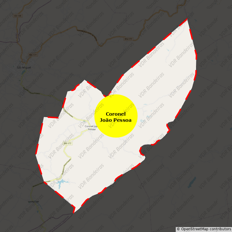 Imagem da Bandeira Coronel João Pessoa