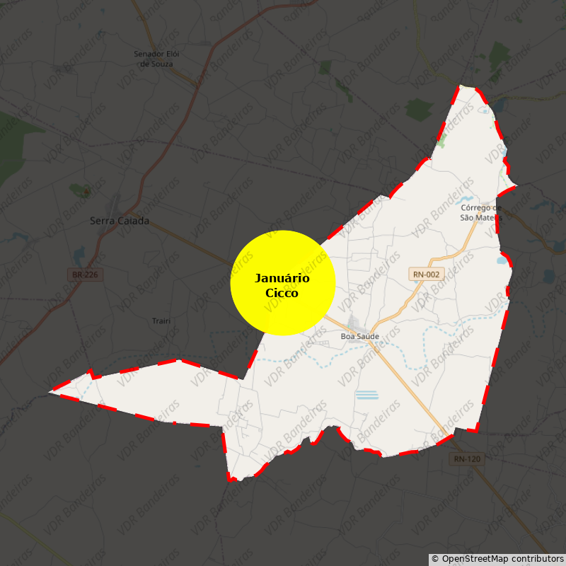 Imagem da Bandeira Januário Cicco