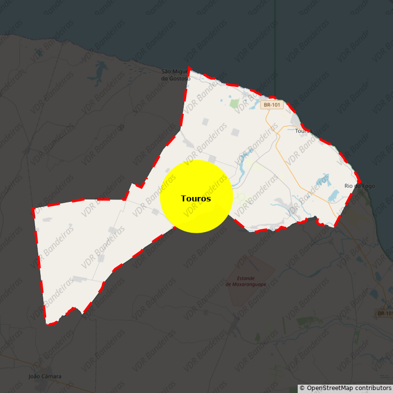 Imagem da Bandeira Touros