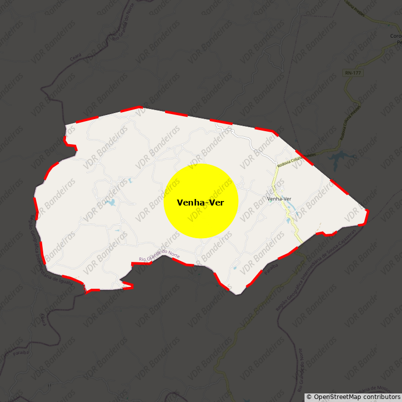 Imagem da Bandeira Venha-Ver