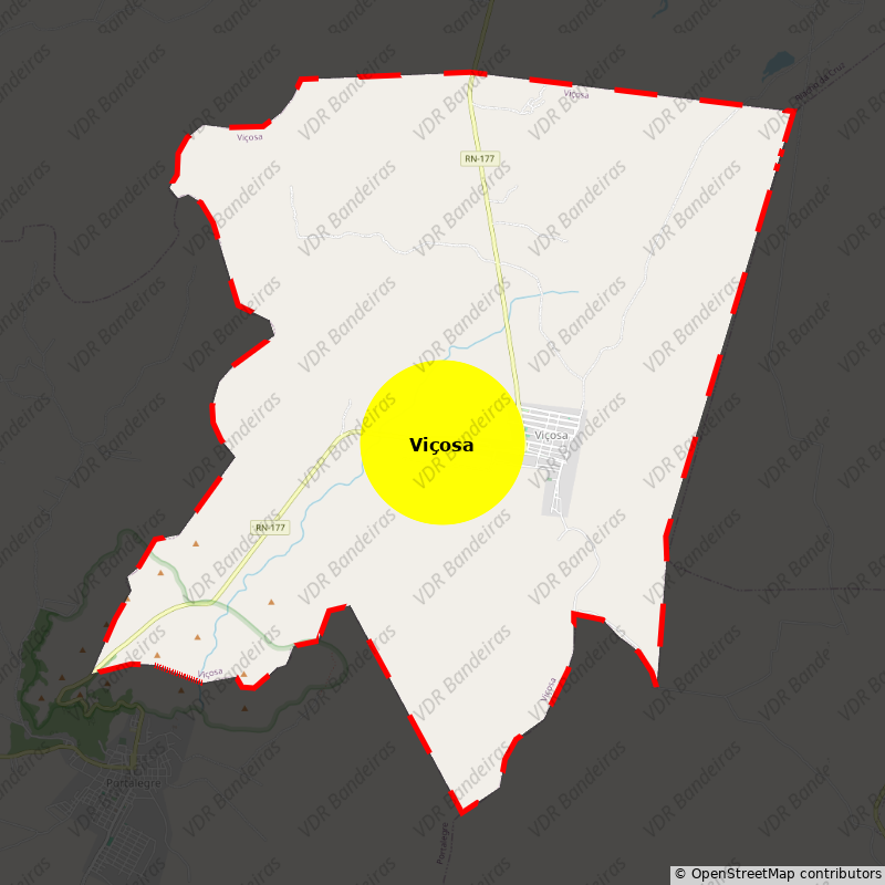 Imagem da Bandeira Viçosa