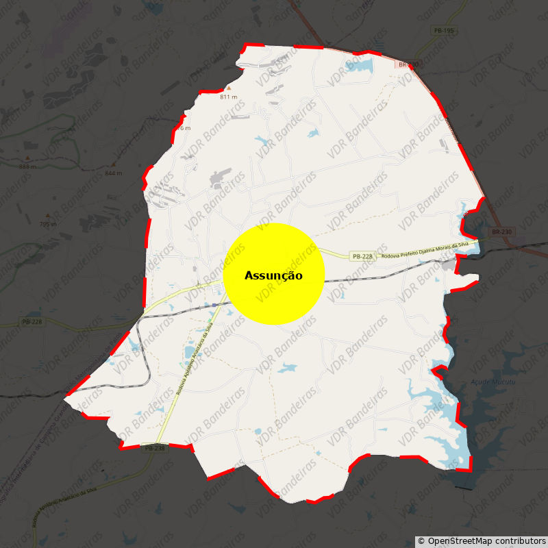 Imagem da Bandeira Assunção