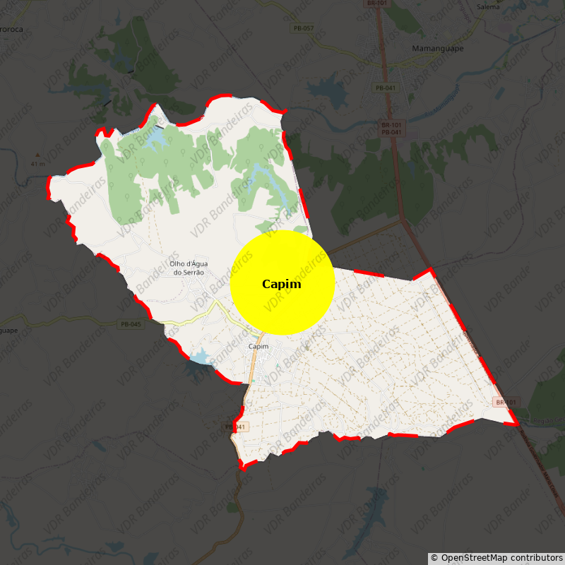 Imagem da Bandeira Capim