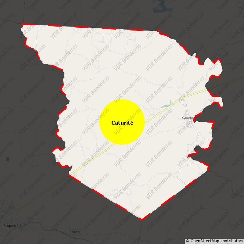 Imagem da Bandeira Caturité