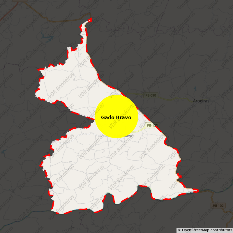 Imagem da Bandeira Gado Bravo