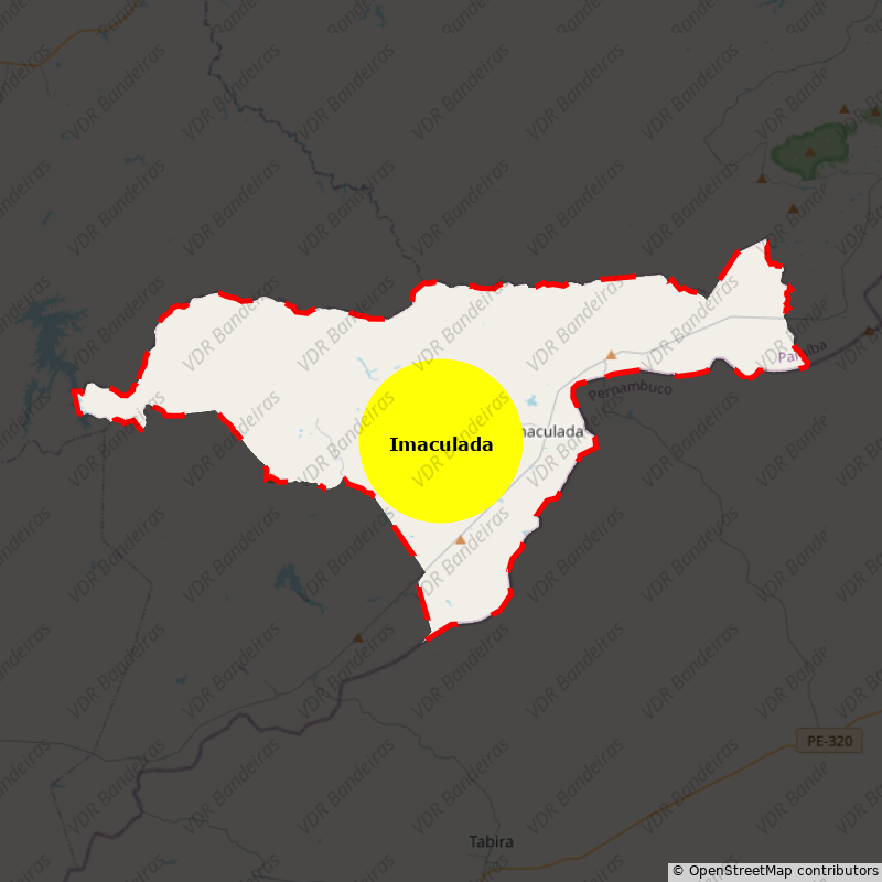 Imagem da Bandeira Imaculada