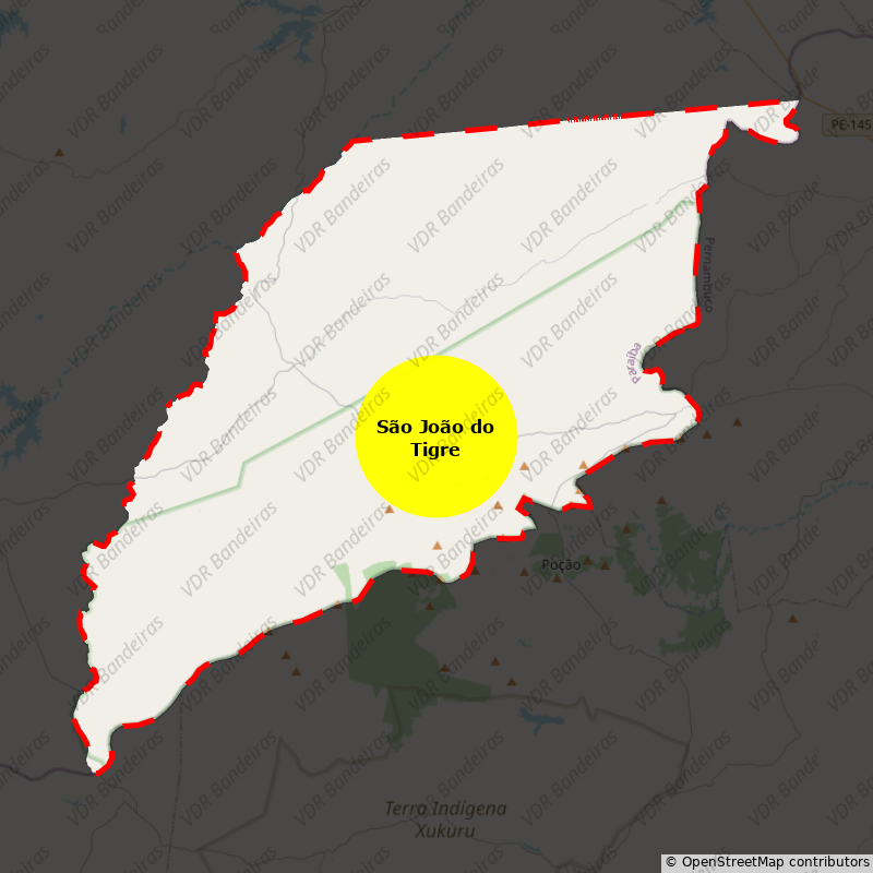 Imagem da Bandeira São João do Tigre