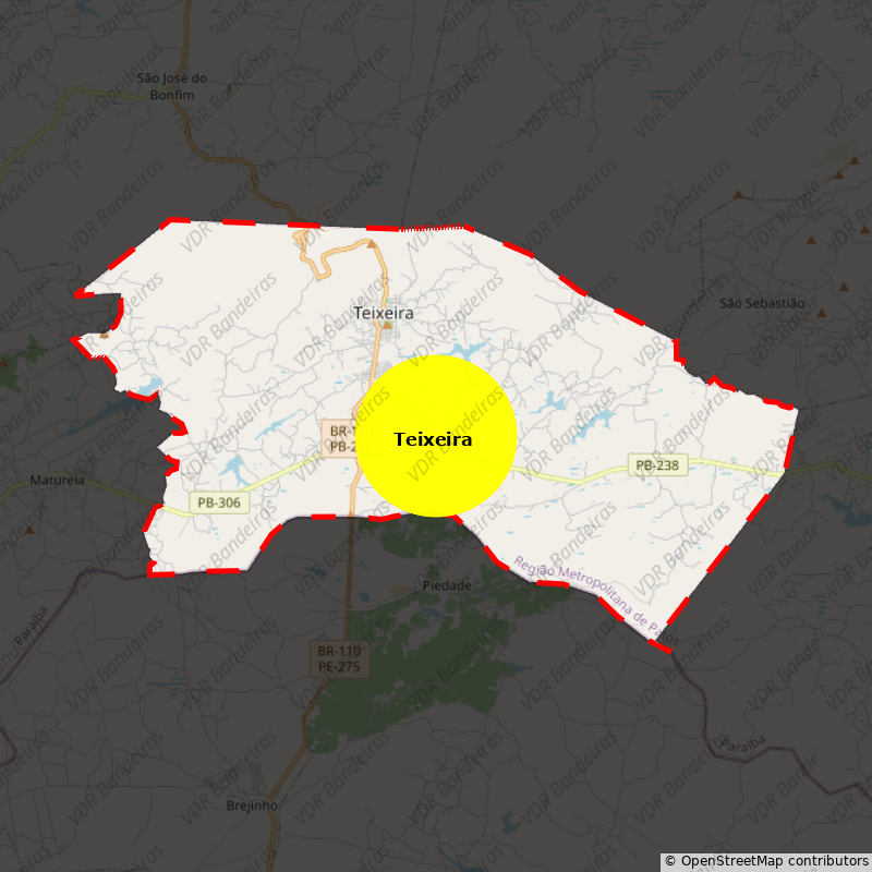 Imagem da Bandeira Teixeira