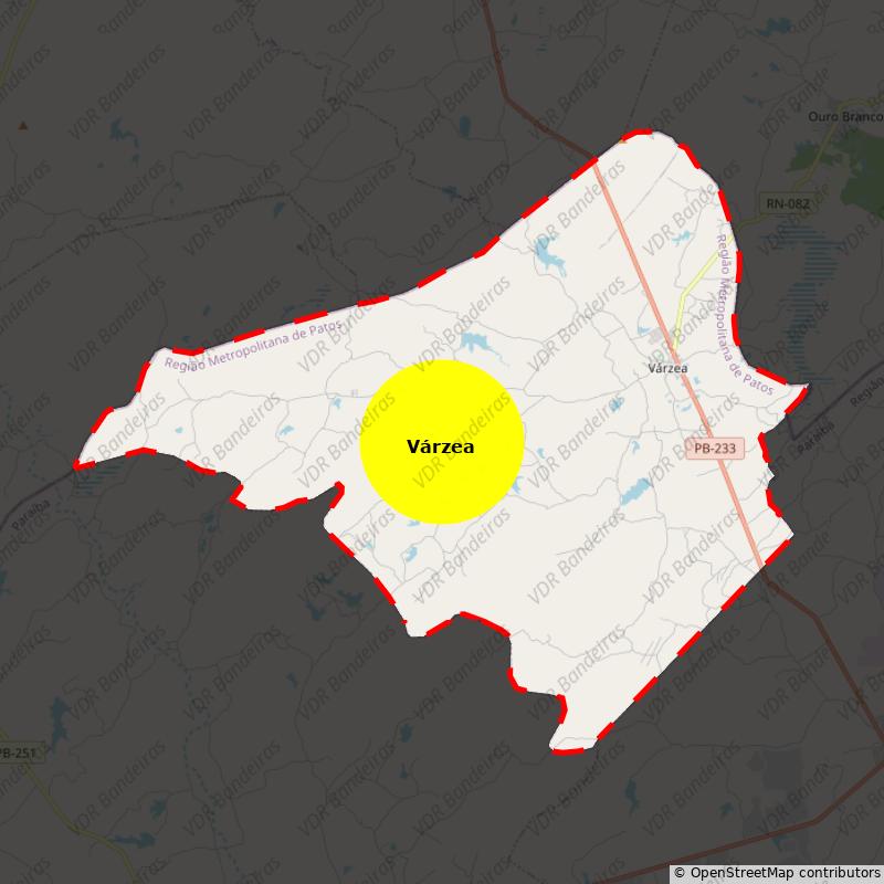 Imagem da Bandeira Várzea