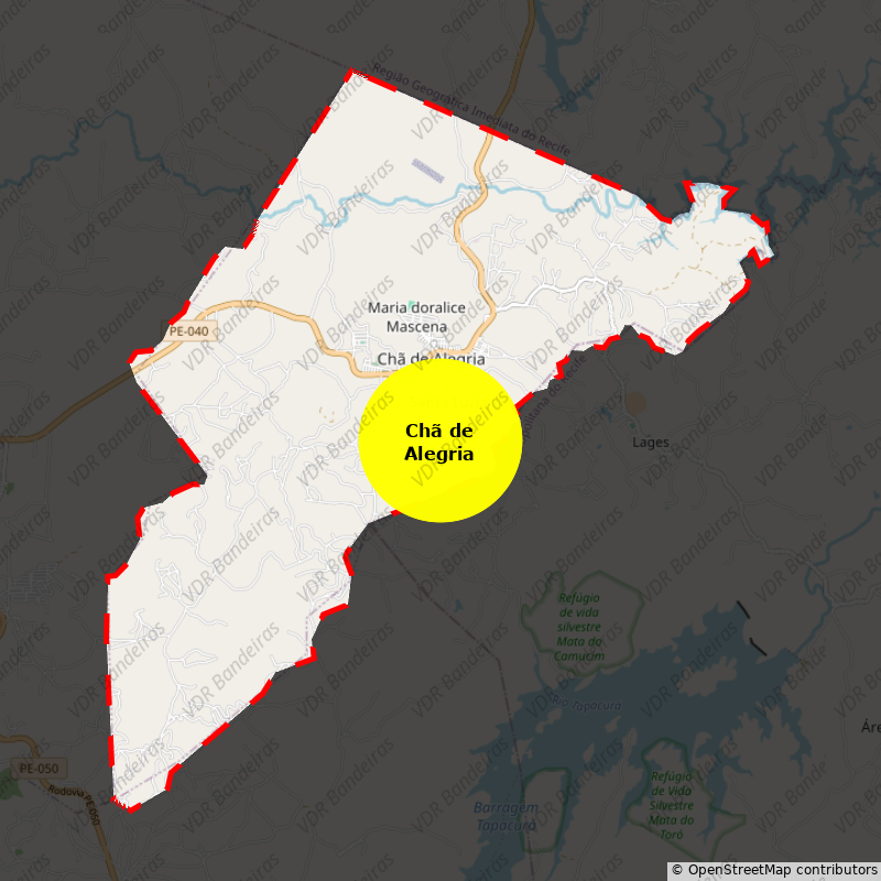 Imagem da Bandeira Chã de Alegria