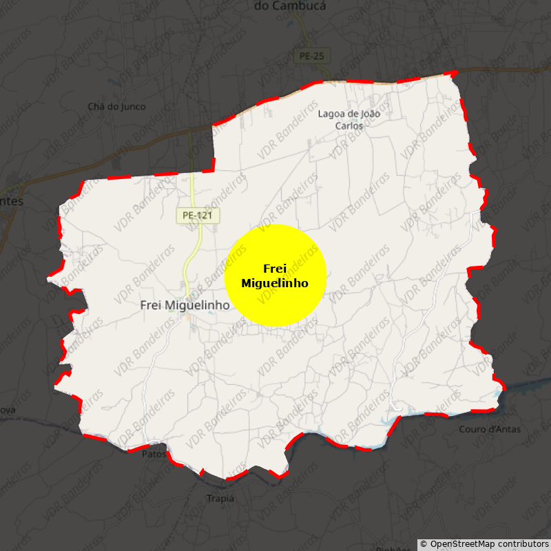 Imagem da Bandeira Frei Miguelinho