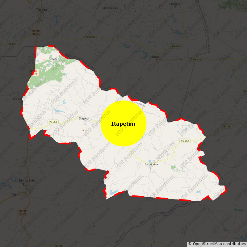 Imagem da Bandeira Itapetim