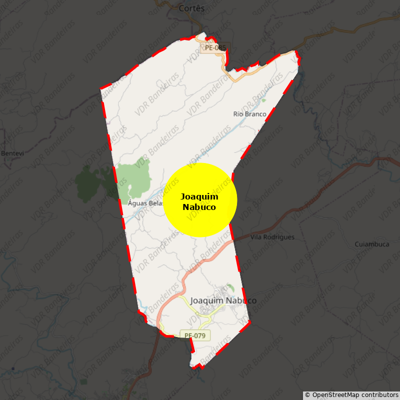 Imagem da Bandeira Joaquim Nabuco