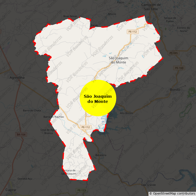 Imagem da Bandeira São Joaquim do Monte