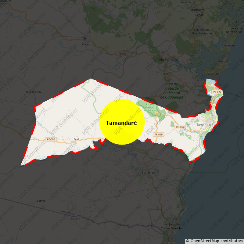 Imagem da Bandeira Tamandaré