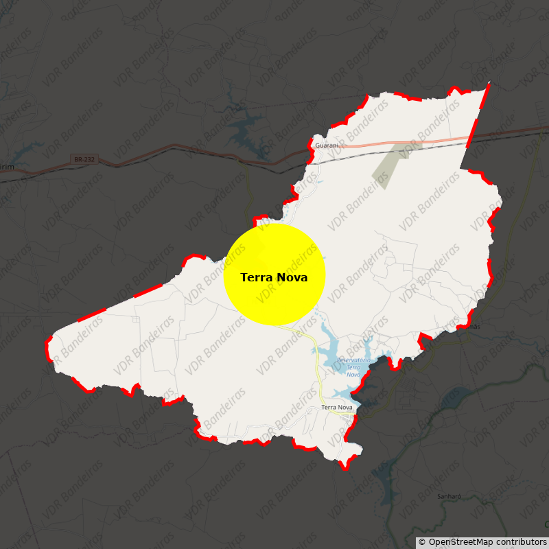 Imagem da Bandeira Terra Nova