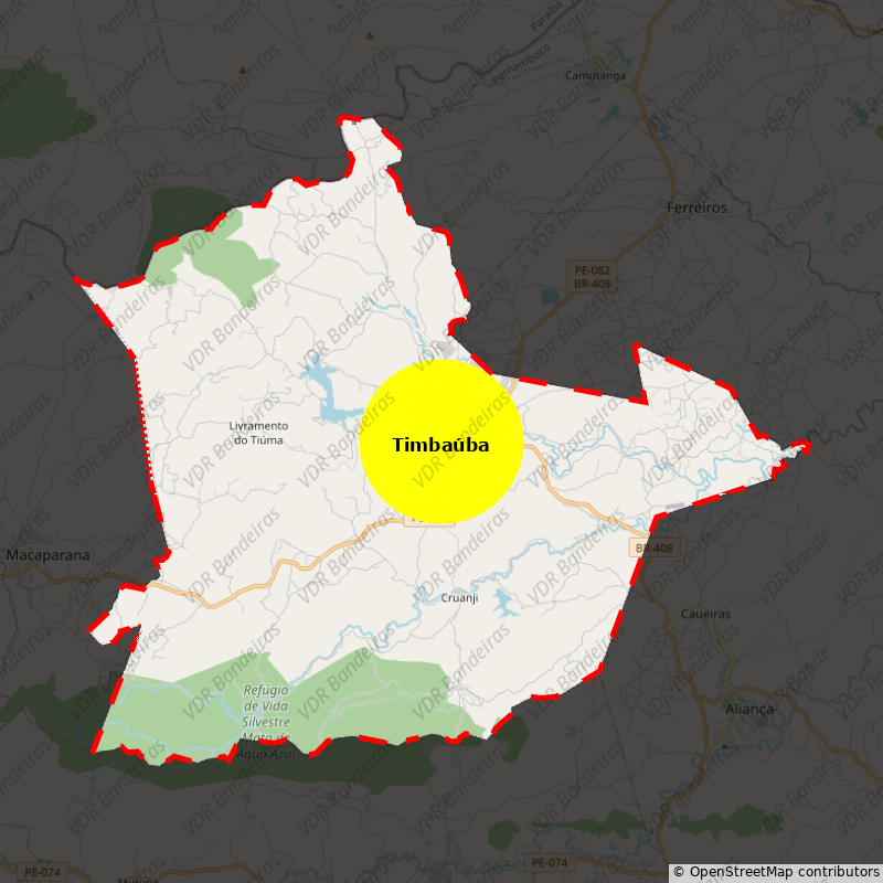 Imagem da Bandeira Timbaúba