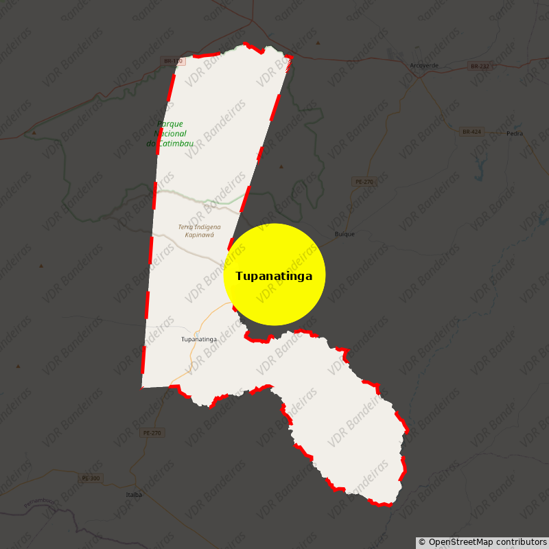 Imagem da Bandeira Tupanatinga