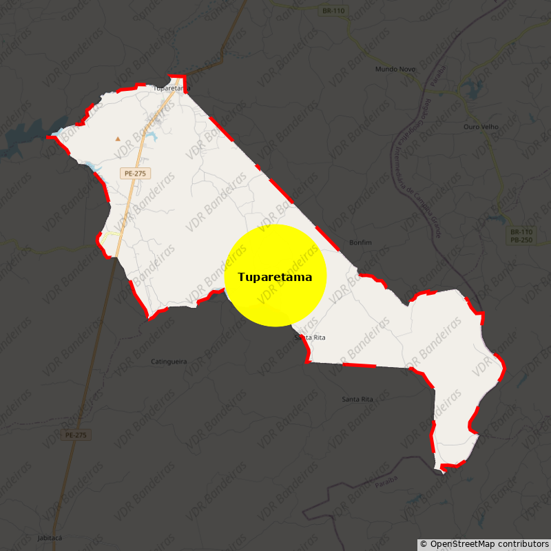 Imagem da Bandeira Tuparetama