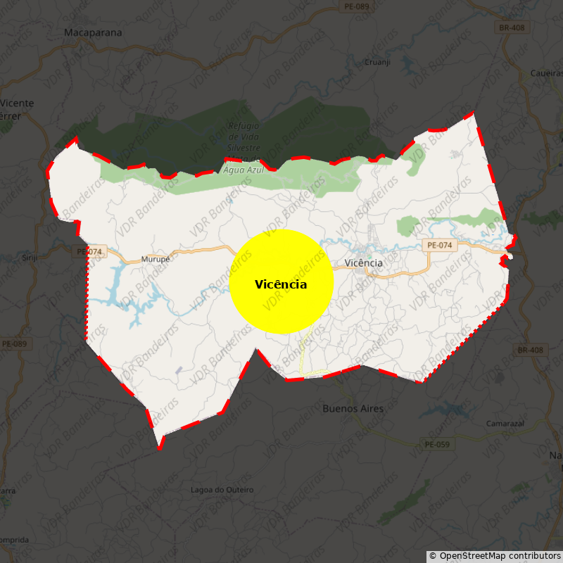 Imagem da Bandeira Vicência