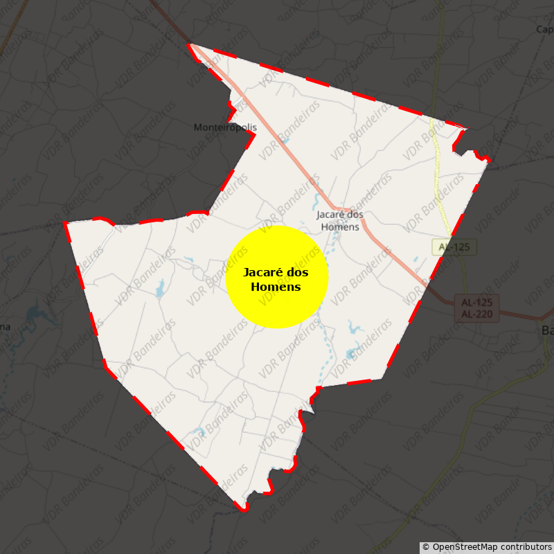 Imagem da Bandeira Jacaré dos Homens