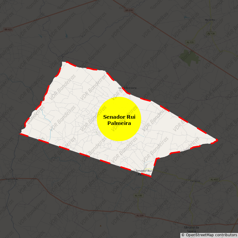 Imagem da Bandeira Senador Rui Palmeira
