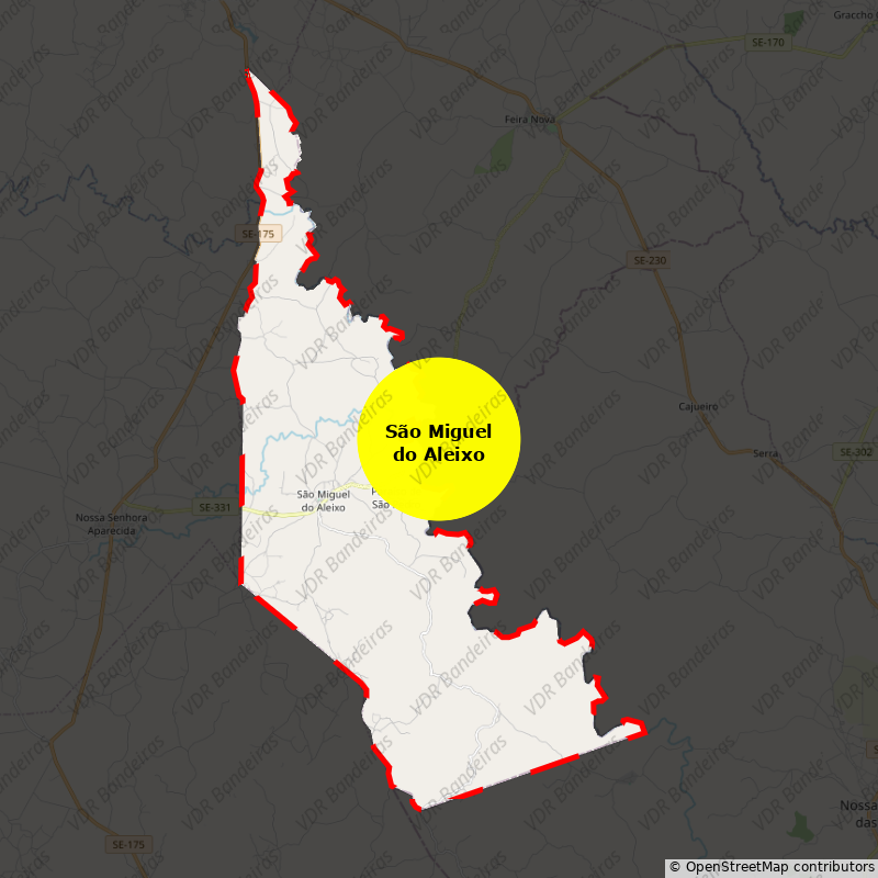 Imagem da Bandeira São Miguel do Aleixo