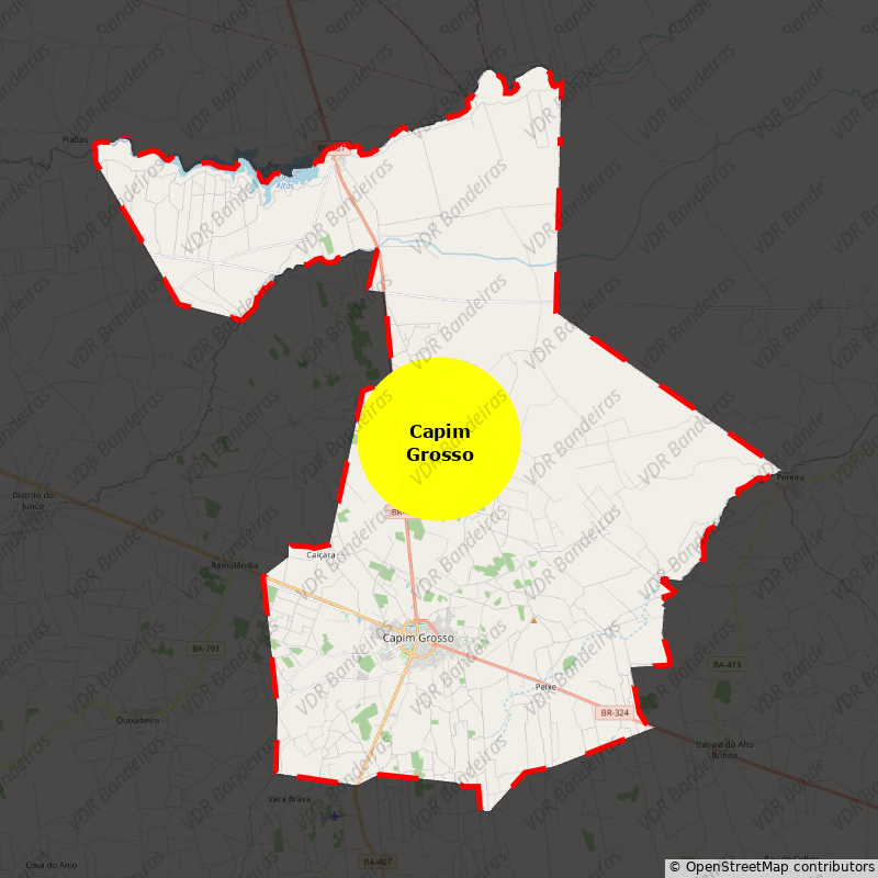 Imagem da Bandeira Capim Grosso