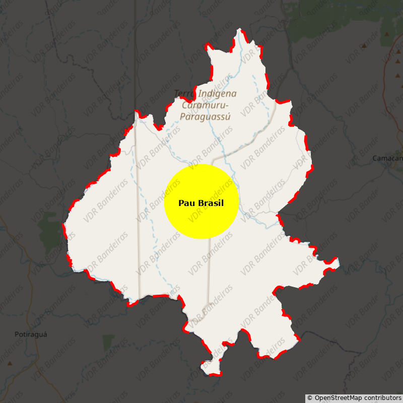 Imagem da Bandeira Pau Brasil