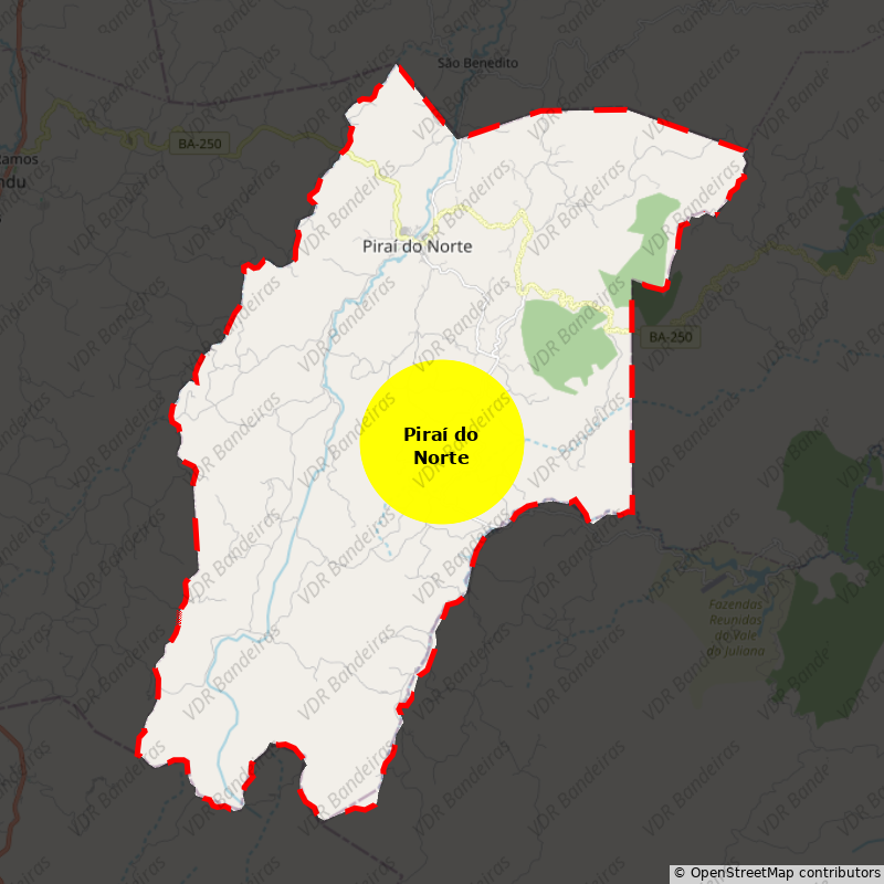 Imagem da Bandeira Piraí do Norte