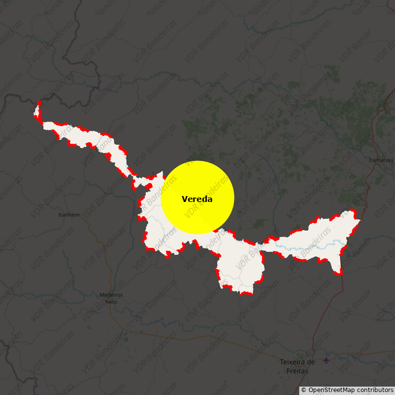 Imagem da Bandeira Vereda