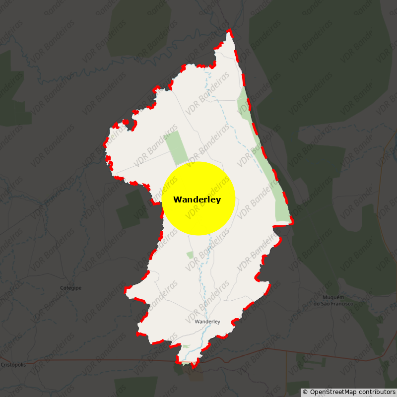 Imagem da Bandeira Wanderley