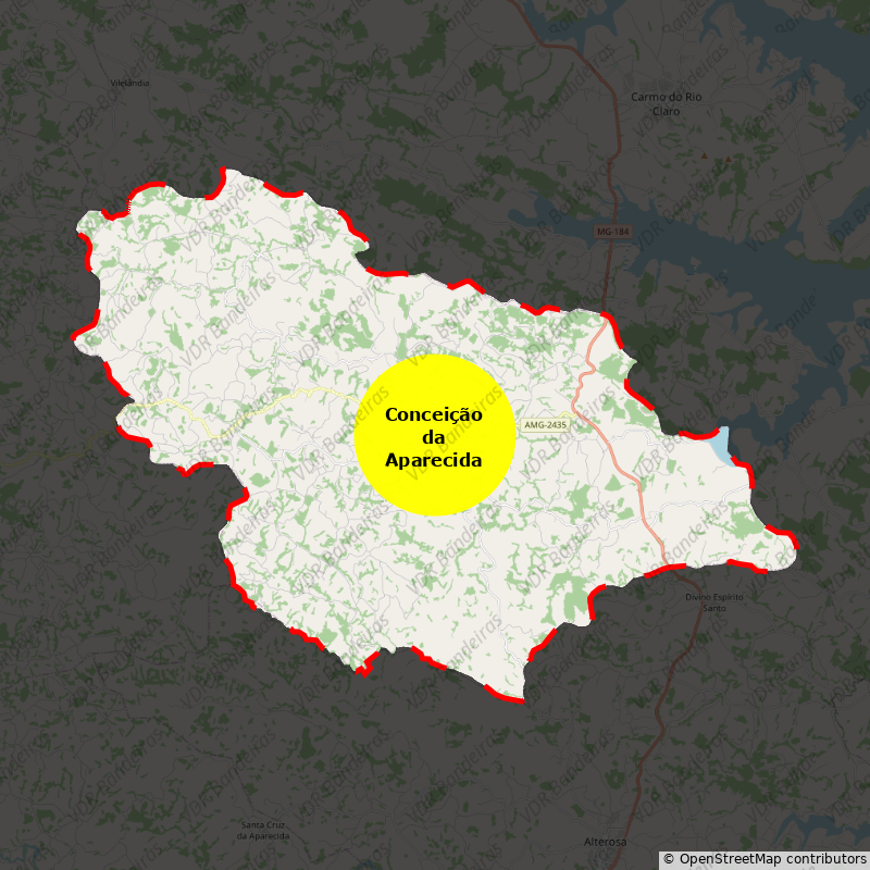 Imagem da Bandeira Conceição da Aparecida