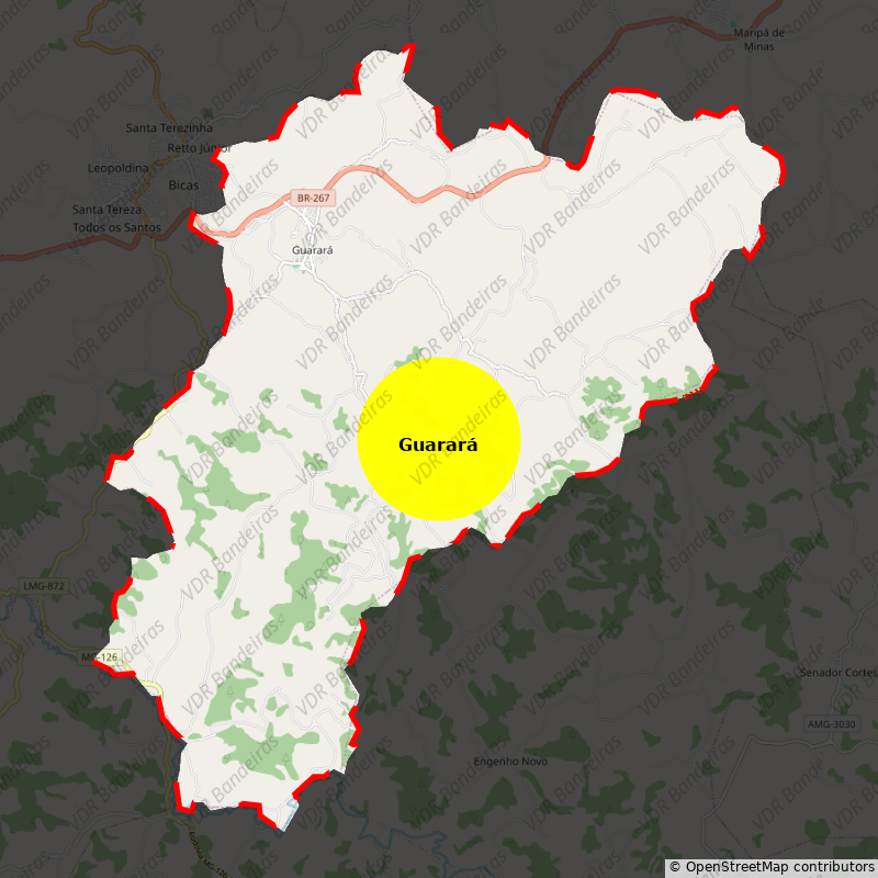 Imagem da Bandeira Guarará