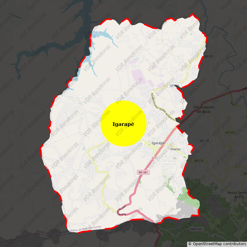 Imagem da Bandeira Igarapé