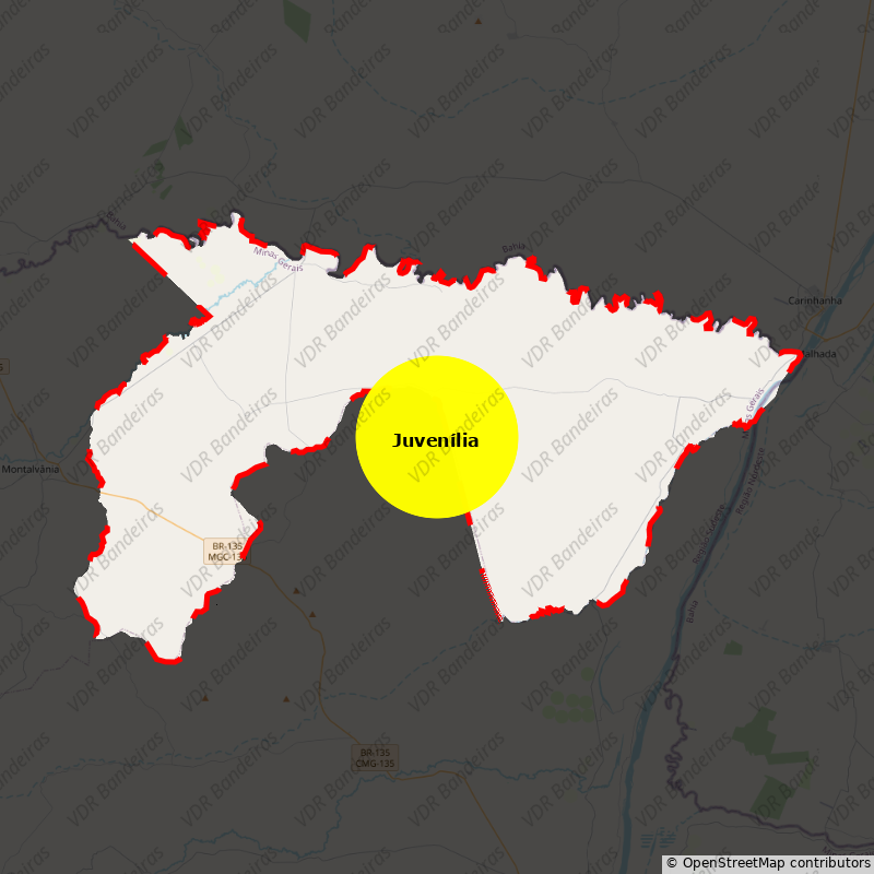 Imagem da Bandeira Juvenília