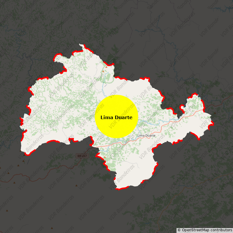 Imagem da Bandeira Lima Duarte