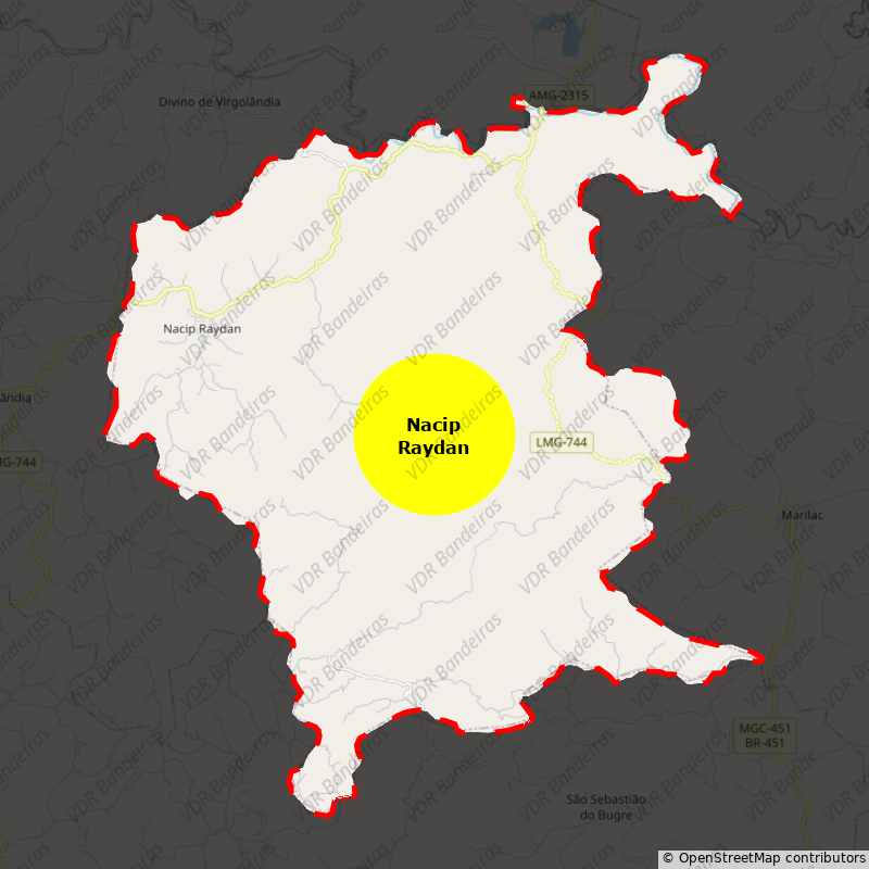 Imagem da Bandeira Nacip Raydan